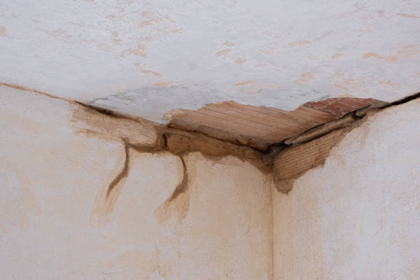 Water damage restoration mold remediation in North Bay Village, FL