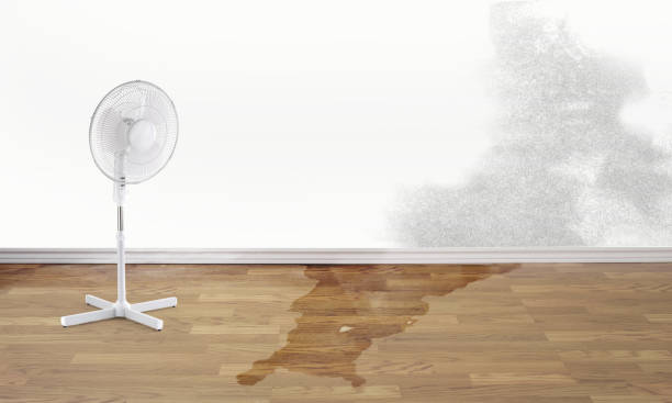 Best Emergency water damage restoration  in North Bay Village, FL