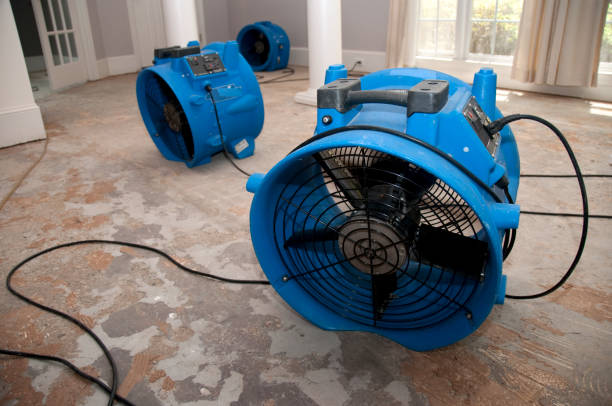Best Flooded house restoration  in North Bay Village, FL