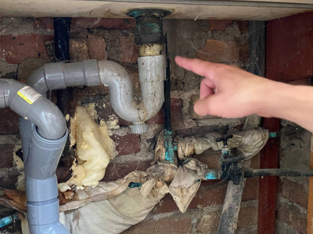  North Bay Village, FL Water damage restoration Pros