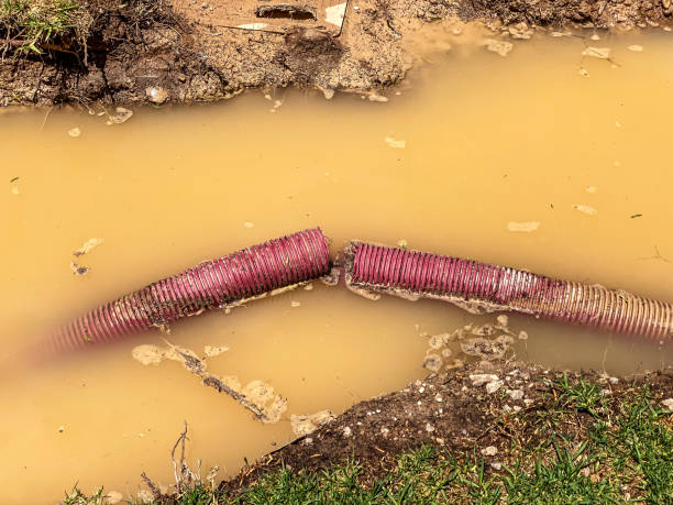 Best Local water damage restoration  in North Bay Village, FL