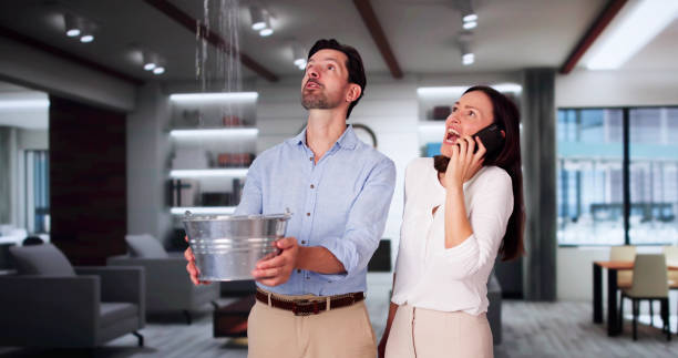 Best Carpet water damage restoration  in North Bay Village, FL